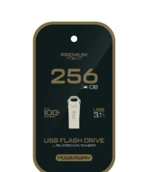 256 GB PRM USB