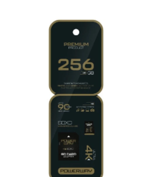 256 GB PRM Micro