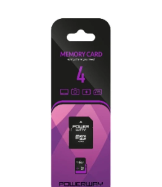 4 GB Micro