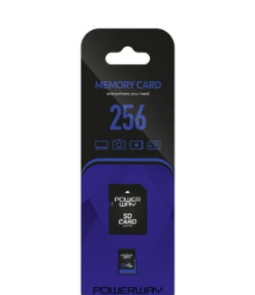 256 GB Micro